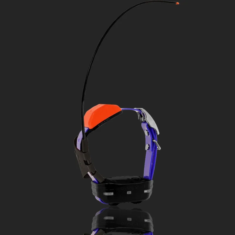 Surrogate Shopping 22 Dashan Equipment 430/50/32t0 Локатор собаки GPS-трекер охоты T5/T5mina.
Surrogate Shopping 22 Dashan Equipment 430/50/32t0 Локатор собаки GPS-трекер охоты T5/T5mina.