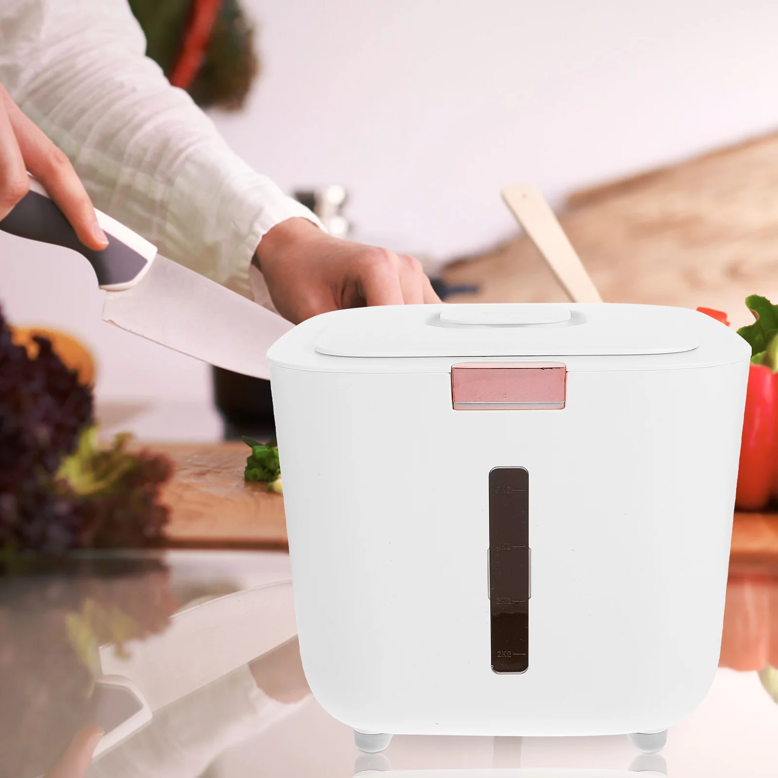 Large Capacity Moisture-Proof Sealed Rice Bucket Air-Tight Storage Container Kitchen Rice Dispenser Grain Storage Box
Large Capacity Moisture-Proof Sealed Rice Bucket Air-Tight Storage Container Kitchen Rice Dispenser Grain Storage Box