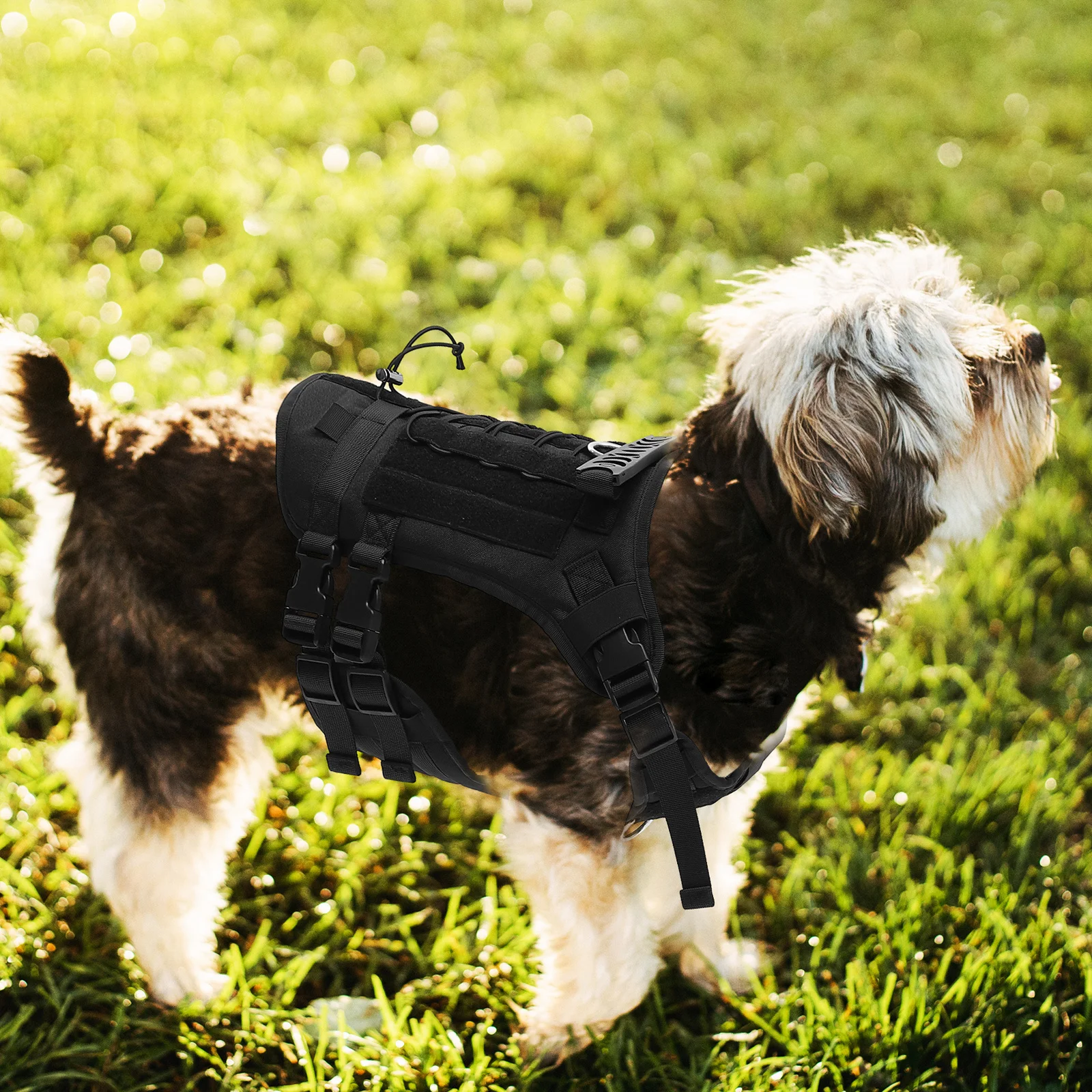 Oxford Cloth Dog Harness Wear-Resistant Adjustable Vest for Medium Large Dogs Household Convenient Portable Pet Accessory
Oxford Cloth Dog Harness Wear-Resistant Adjustable Vest for Medium Large Dogs Household Convenient Portable Pet Accessory