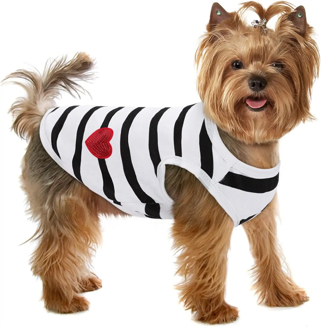 Striped Cotton Tee for Dogs & Cats, Spring Summer Vest Apparel, Suitable for Small to Large Pets
Striped Cotton Tee for Dogs & Cats, Spring Summer Vest Apparel, Suitable for Small to Large Pets