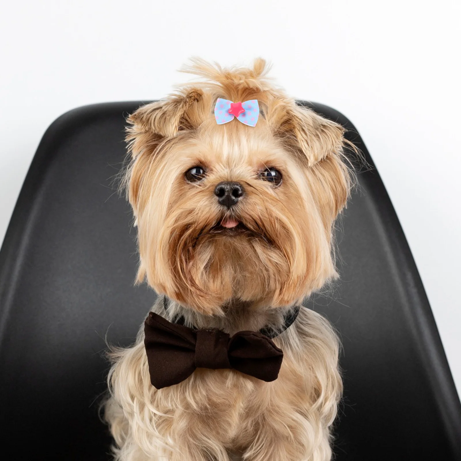 20 Pcs Pet Accessories Cute Dog Bowknot Hair Bows Grooming Bowties for Small Dogs
20 Pcs Pet Accessories Cute Dog Bowknot Hair Bows Grooming Bowties for Small Dogs