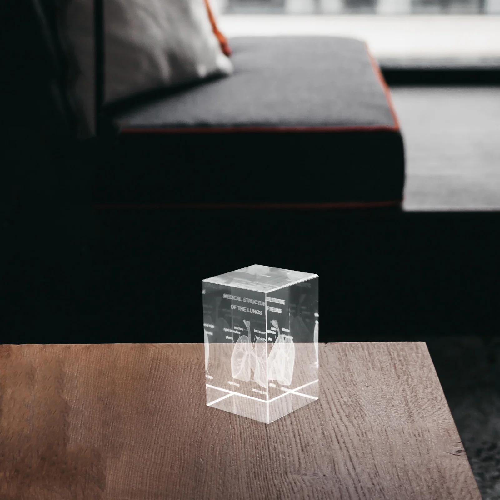 Crystal Human Lung Anatomical 3D Engraved Cube Paperweight For Medical Science Education Decor Physiology Teaching Tool Home
Crystal Human Lung Anatomical 3D Engraved Cube Paperweight For Medical Science Education Decor Physiology Teaching Tool Home