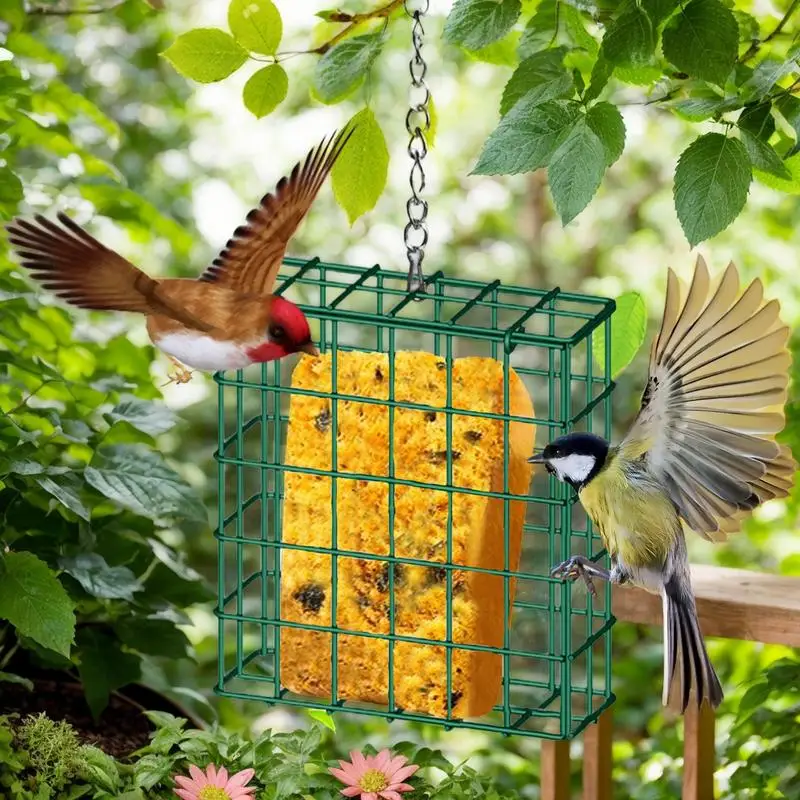 Bird Feeder Squirrel Proof Iron Wire Square Bird Feeder Weatherproof Food Holder With Chain Feeding Supplies Garden Decor For
Bird Feeder Squirrel Proof Iron Wire Square Bird Feeder Weatherproof Food Holder With Chain Feeding Supplies Garden Decor For