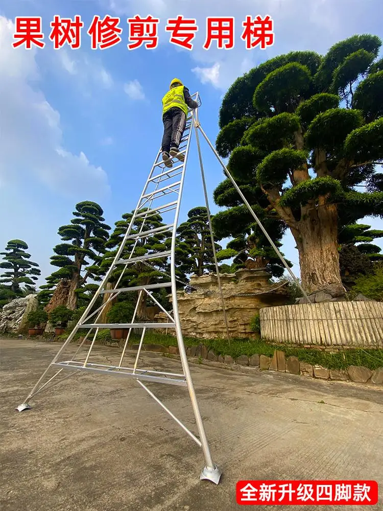 Fruit Tree Villa Gardening Work Single-Sided Herringbone Picking Safety Pruning Lifting Triangle Support Greening Garden Ladder
Fruit Tree Villa Gardening Work Single-Sided Herringbone Picking Safety Pruning Lifting Triangle Support Greening Garden Ladder