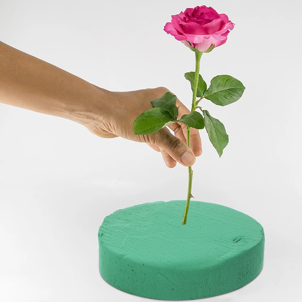 4 Pcs Cutting Paste Flower Holding Mud Dried Flowers Blocks for Arrangements Phenolic Resin Bases Floral
4 Pcs Cutting Paste Flower Holding Mud Dried Flowers Blocks for Arrangements Phenolic Resin Bases Floral