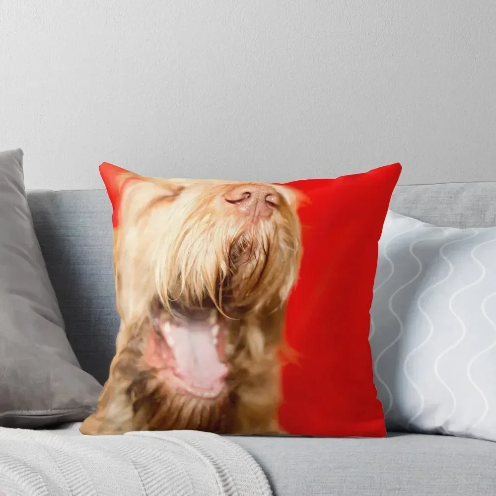Laughing Spinone Throw Pillow Cushion Cover Set Sofa Cushions luxury throw pillow covers pillow
Laughing Spinone Throw Pillow Cushion Cover Set Sofa Cushions luxury throw pillow covers pillow