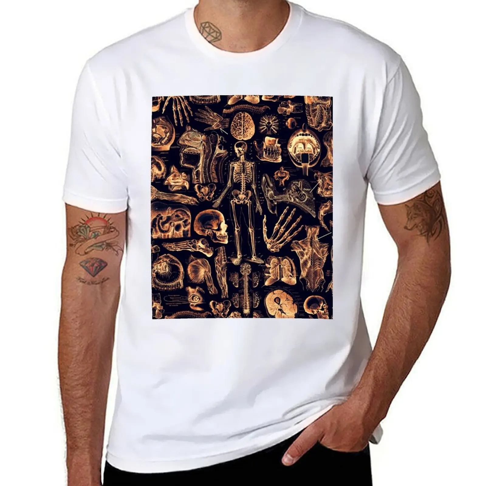 Human Anatomy - Golden Glow T-Shirt t shirt custom print graphic t shirts for man t shirts for man cotton T-Shirt
Human Anatomy - Golden Glow T-Shirt t shirt custom print graphic t shirts for man t shirts for man cotton T-Shirt
