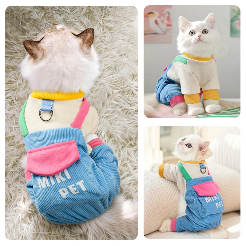 Cat clothes autumn and winter warm new four-legged overalls pet German muppet silver gradient kitten clothing
Cat clothes autumn and winter warm new four-legged overalls pet German muppet silver gradient kitten clothing