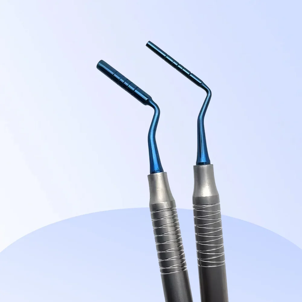 Dental Bone Graft Implant Packer Grafting Carrier Pluggers Dental Spatula Filler Oral Instruments Tools
Dental Bone Graft Implant Packer Grafting Carrier Pluggers Dental Spatula Filler Oral Instruments Tools