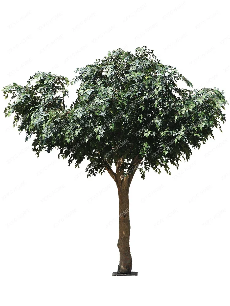 Tree Large Solid Wood Fake Trees Engineering Decoration Plant Hotel Mall on-the-Ground Green Plant Floriculture
Tree Large Solid Wood Fake Trees Engineering Decoration Plant Hotel Mall on-the-Ground Green Plant Floriculture