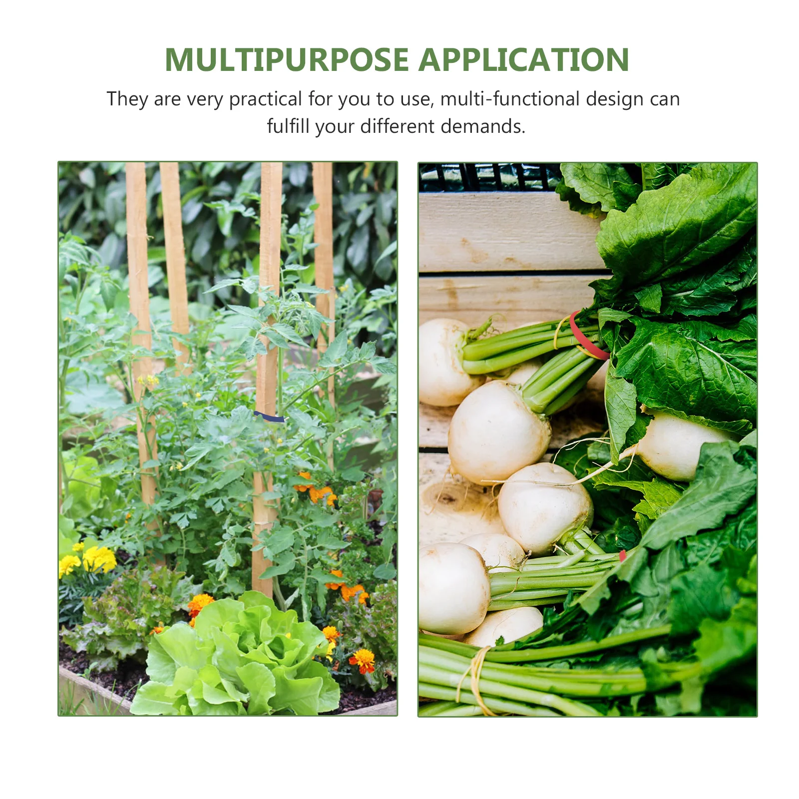 21 шт., ремни для садовых растений, многоразовые эластичные ленты из ПВХ для фиксации вьющихся растений, ветвей деревьев, цветов, прививки, поделки своими руками
21 шт., ремни для садовых растений, многоразовые эластичные ленты из ПВХ для фиксации вьющихся растений, ветвей деревьев, цветов, прививки, поделки своими руками