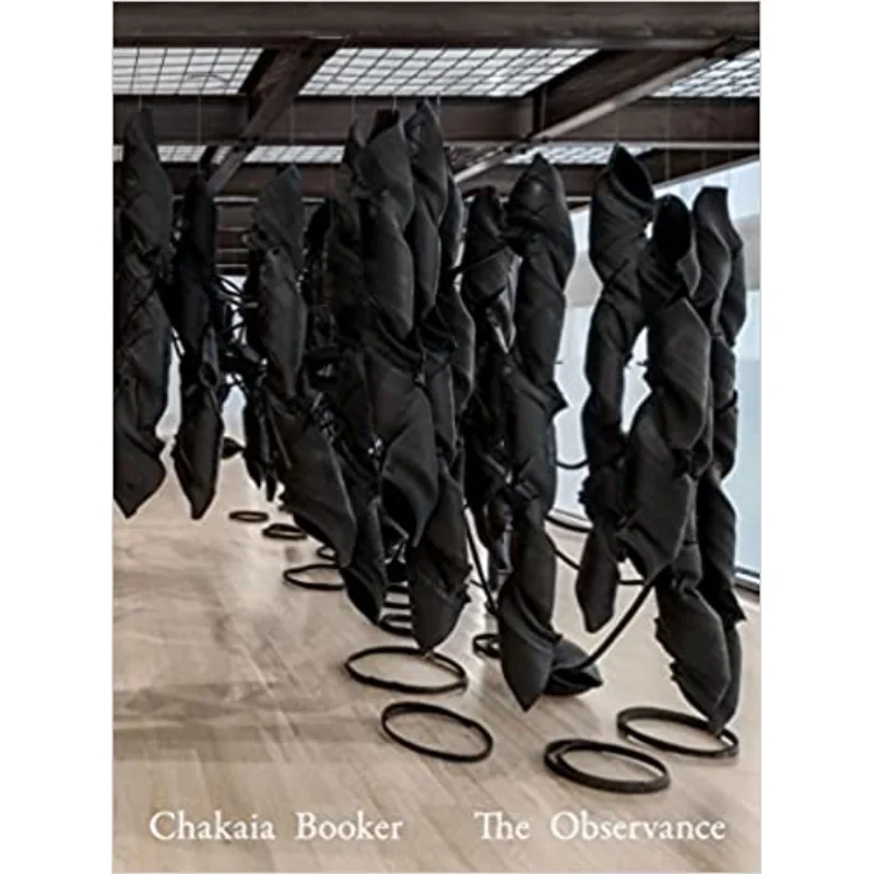 Chakaia Booker The Observance Alex Gartenfeld Hirmer 9783777438092 Book
Chakaia Booker The Observance Alex Gartenfeld Hirmer 9783777438092 Book