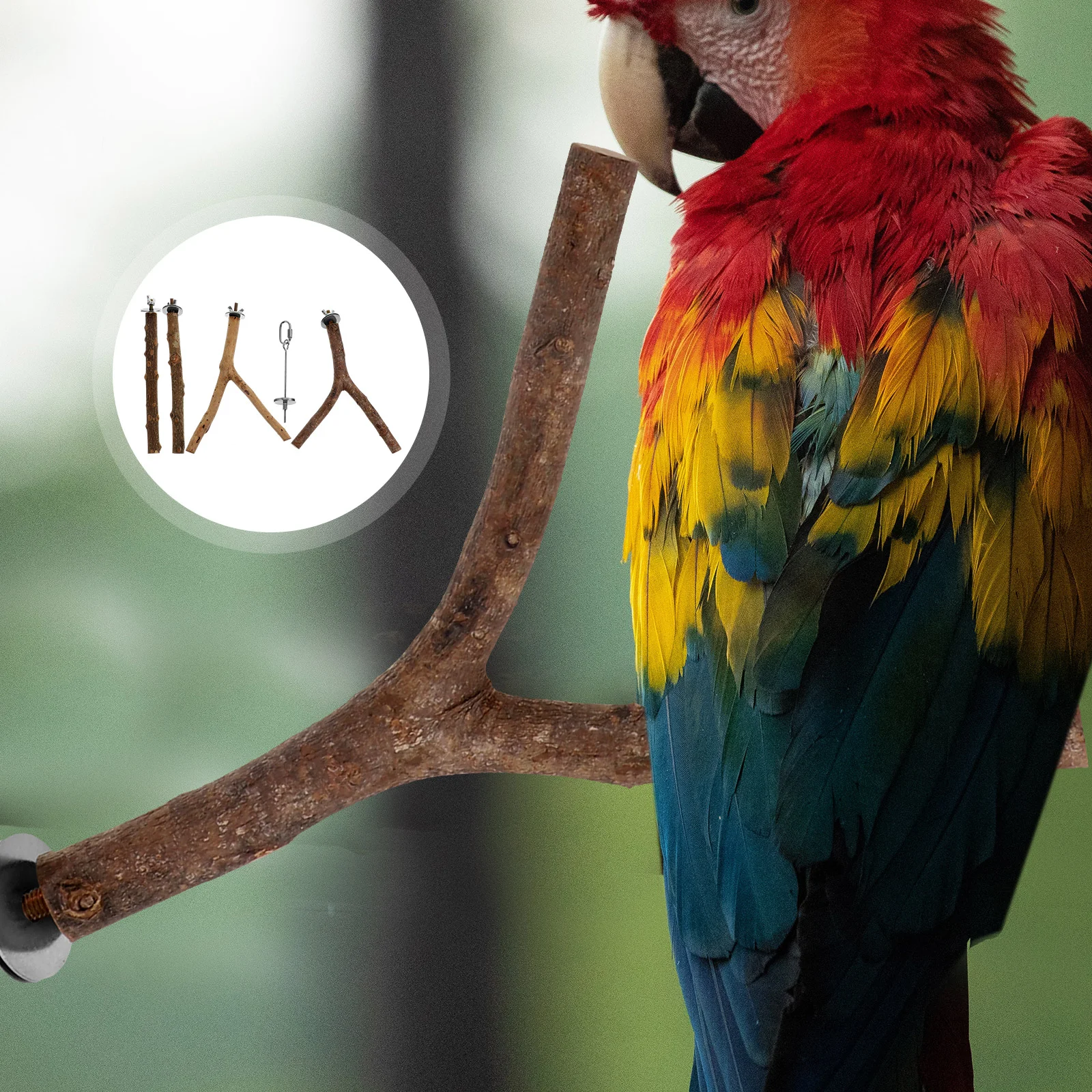 4 Pcs Pepper Wood Parrot Standing Stick Toy Bird Vegetable Holder Wooden Treat Skewer
4 Pcs Pepper Wood Parrot Standing Stick Toy Bird Vegetable Holder Wooden Treat Skewer