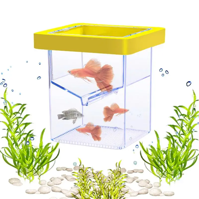 Fish Breeder Box Transparent Fish Tank Incubator Suction Cup Hatching Container Aquarium Acclimation Hatchery Incubator
Fish Breeder Box Transparent Fish Tank Incubator Suction Cup Hatching Container Aquarium Acclimation Hatchery Incubator