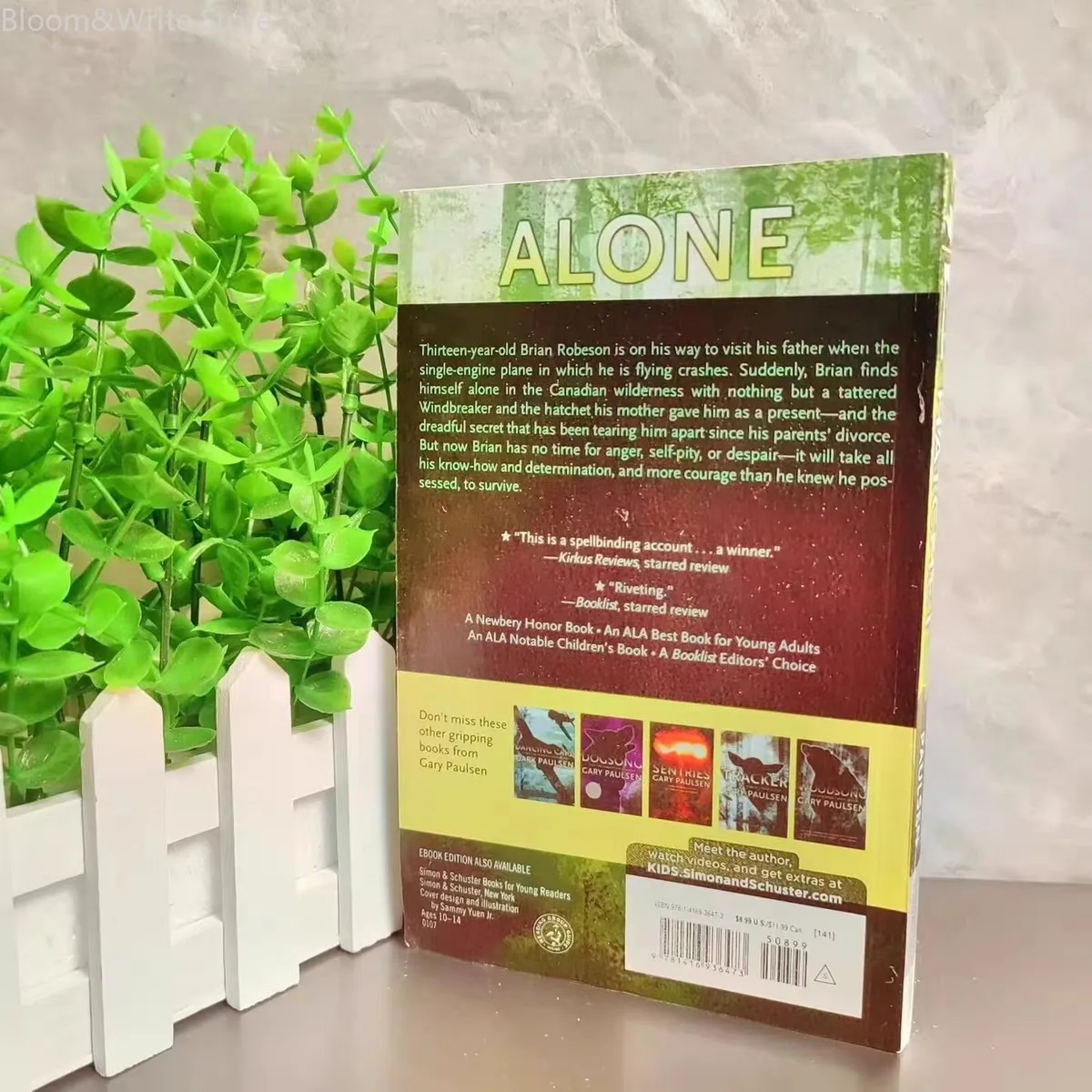 Hatchet Gary Paulsen
Hatchet Gary Paulsen