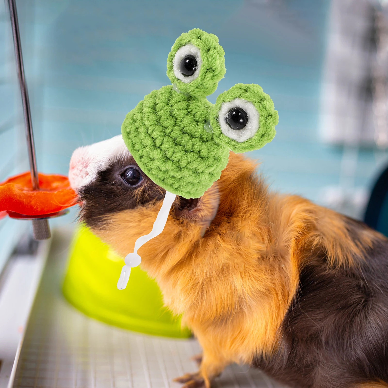 Fun Hat Pet Woolen Head Accessories for Hamster Cute Tiny Funny Small Pets Cartoon Hats
Fun Hat Pet Woolen Head Accessories for Hamster Cute Tiny Funny Small Pets Cartoon Hats