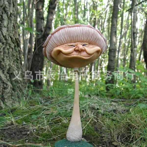 Door knocker New mushroom garden ornament Resin handicraft ornament Funny face mushroom statue
Door knocker New mushroom garden ornament Resin handicraft ornament Funny face mushroom statue