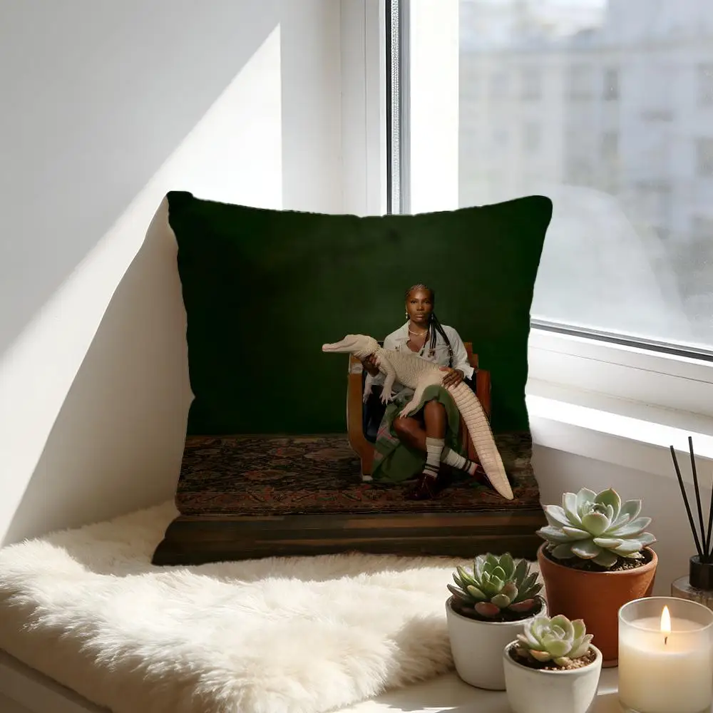 Чехол для подушки Doechii Album, уютная велюровая наволочка, мягкая теплая подушка для дивана и кровати
Чехол для подушки Doechii Album, уютная велюровая наволочка, мягкая теплая подушка для дивана и кровати