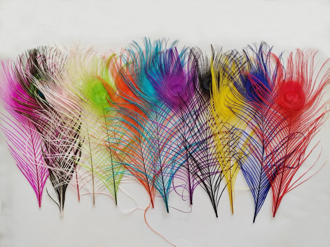 50Pcs/lot Dyeing Peacock Feathers For Crafts Length 25-30CM 10-12inch Peacock Feather Diy Jewelry Decorative Feathers
50Pcs/lot Dyeing Peacock Feathers For Crafts Length 25-30CM 10-12inch Peacock Feather Diy Jewelry Decorative Feathers