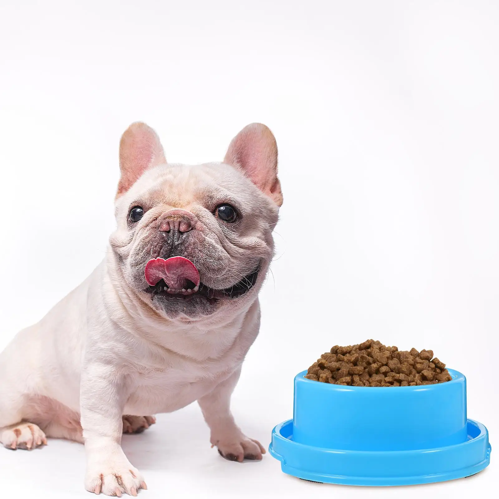 Ant-proof Bowl Appetite-increasing Cat Food Bowls Dog Outdoor Circle Feeding High-quality
Ant-proof Bowl Appetite-increasing Cat Food Bowls Dog Outdoor Circle Feeding High-quality