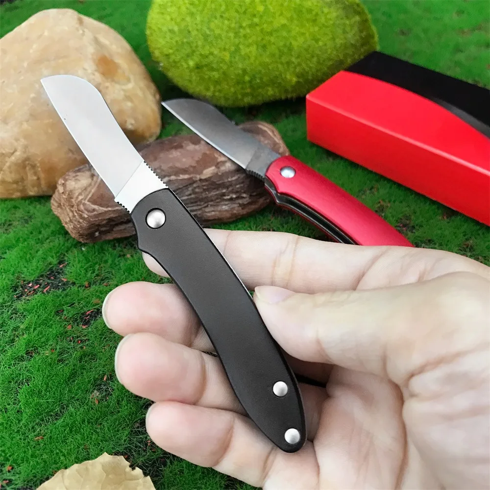 C189 Lightweight 440C Steel Outdoor Folding Knife - Nylon Handle EDC Gear for Backpacking and Wilderness Operations
C189 Lightweight 440C Steel Outdoor Folding Knife - Nylon Handle EDC Gear for Backpacking and Wilderness Operations