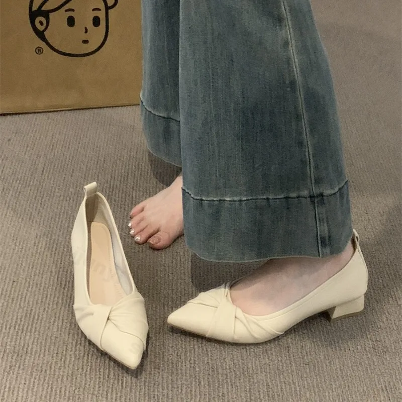 Women Pointed Toe High Heels 2026 Spring/Summer Square Heels Shallow Mouth Fashion Elegant Pumps Outdoor French Zapatos De Mujer
Women Pointed Toe High Heels 2026 Spring/Summer Square Heels Shallow Mouth Fashion Elegant Pumps Outdoor French Zapatos De Mujer