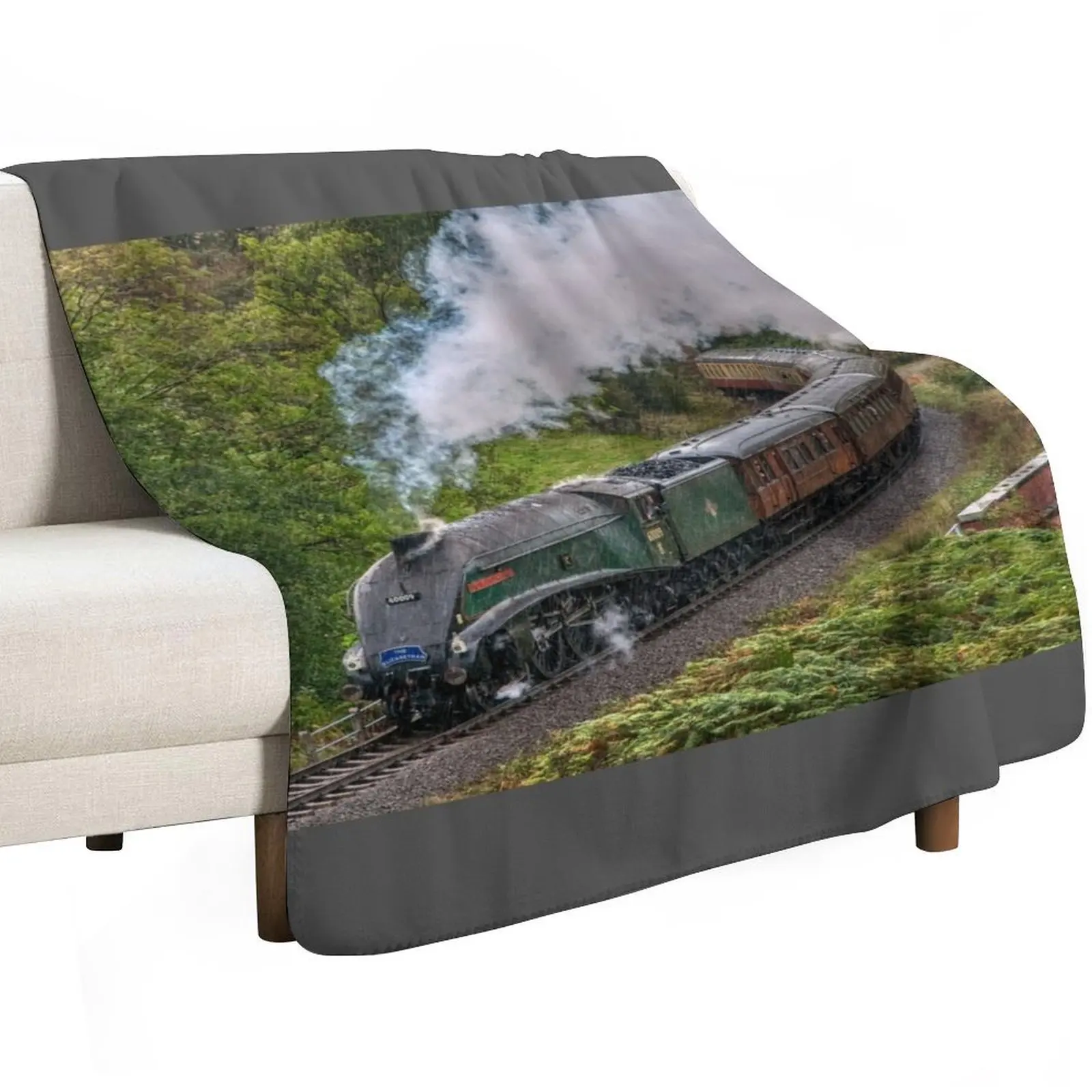 60009 Union of South Africa in the Rain Throw Blanket Retros Winter beds Personalized Gift Extra Large Throw Blankets
60009 Union of South Africa in the Rain Throw Blanket Retros Winter beds Personalized Gift Extra Large Throw Blankets
