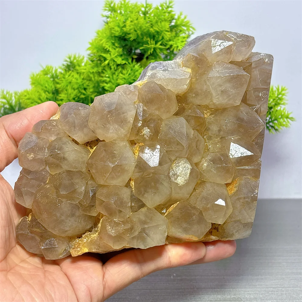 Smoeky Quartz Cluster Specimen Natural Crystal Home Decoritems Room decor Luck Quartz Stone Garden Reiki Healing Energy Love
Smoeky Quartz Cluster Specimen Natural Crystal Home Decoritems Room decor Luck Quartz Stone Garden Reiki Healing Energy Love