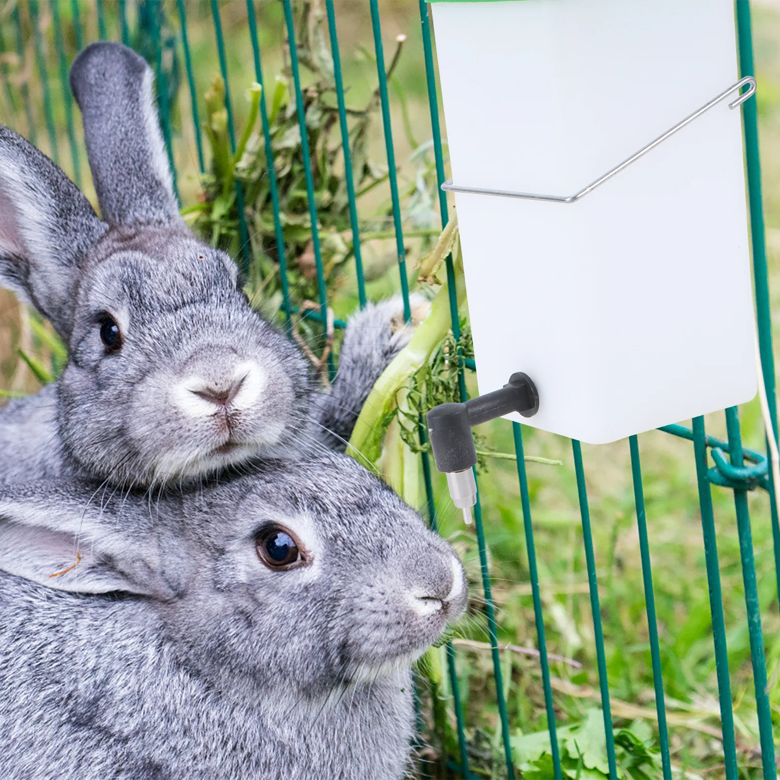 Rabbit Drinking Bowl Automatic Water Feeder For Pet Rabbit No Leakage Durable Anti-Corrosion Detachable Easy Install White Green
Rabbit Drinking Bowl Automatic Water Feeder For Pet Rabbit No Leakage Durable Anti-Corrosion Detachable Easy Install White Green