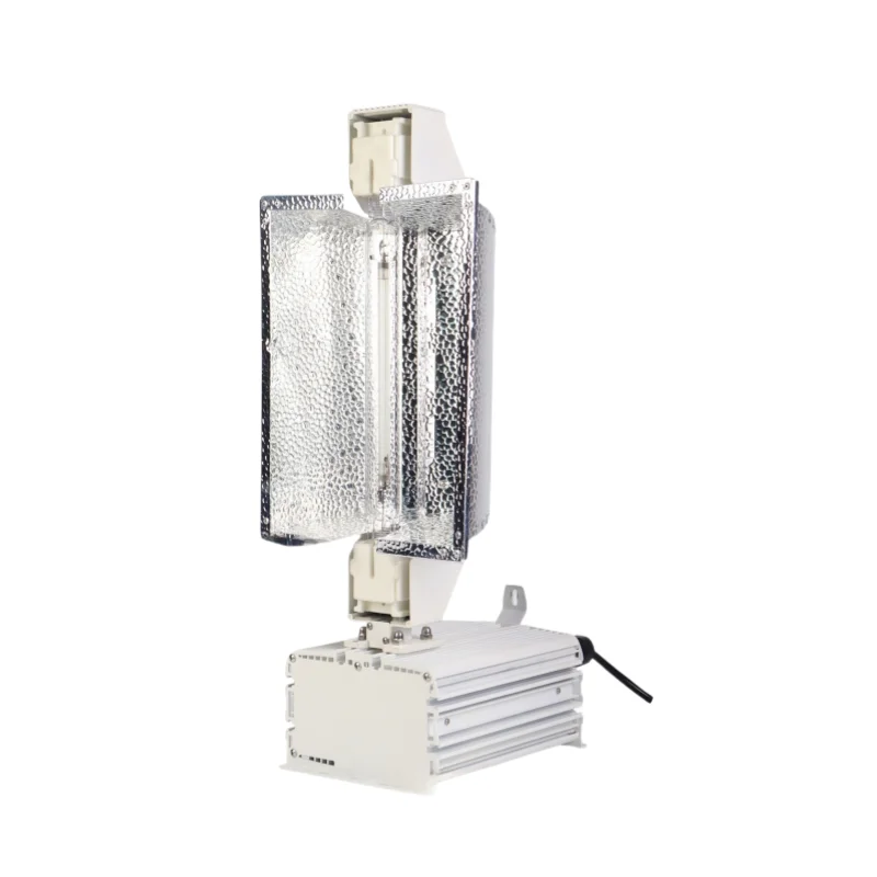 380V 1000W DE HPS/MH Complete Indoor Plants Grow Light Fixture Kit Double-Ended Sodium Lamp for Greenhouse Farms Russia Ballasts 
380V 1000W DE HPS/MH Complete Indoor Plants Grow Light Fixture Kit Double-Ended Sodium Lamp for Greenhouse Farms Russia Ballasts
