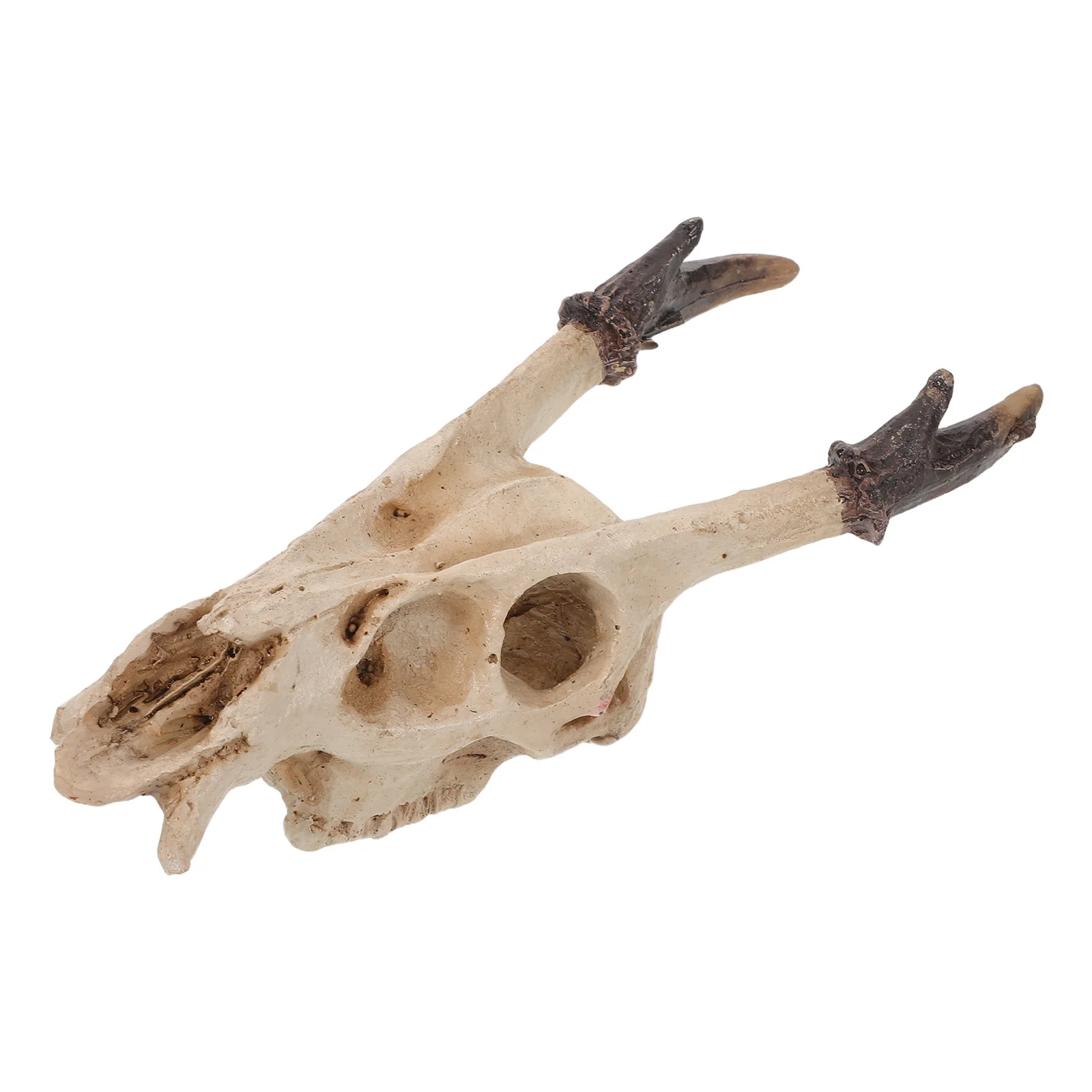 1pcs Reptile Hide Skull Decor Realistic Resin Cave For Lizard Gecko Snake Turtle Habitat Fish Tank Ornament Terrarium
1pcs Reptile Hide Skull Decor Realistic Resin Cave For Lizard Gecko Snake Turtle Habitat Fish Tank Ornament Terrarium