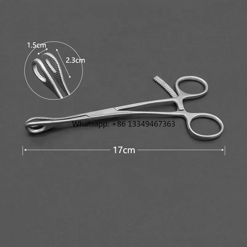 Forceps with Bone Plate Locking for Dogs Small Animal Orthotic Instruments Bone Holding Forceps and Reduction
Forceps with Bone Plate Locking for Dogs Small Animal Orthotic Instruments Bone Holding Forceps and Reduction