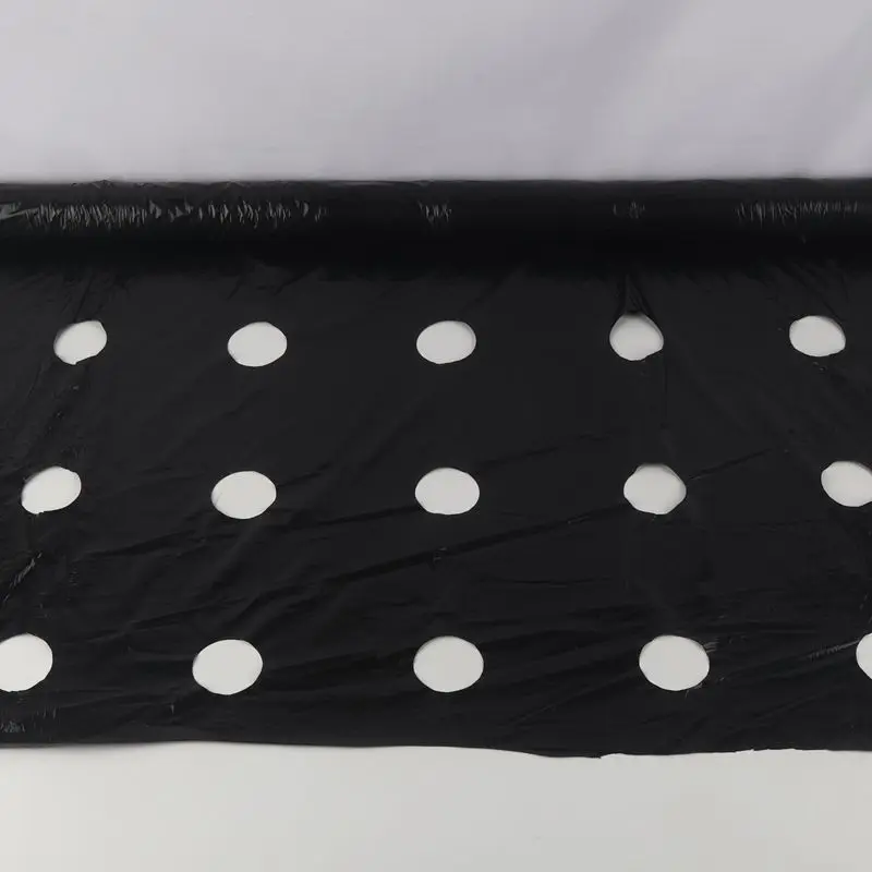 20255Holes 0.95mx560m 0.02mm Mulch Film PE Plastic Mulch Agricultural Plants Cover Film Frost Protection Keep Warm Control
20255Holes 0.95mx560m 0.02mm Mulch Film PE Plastic Mulch Agricultural Plants Cover Film Frost Protection Keep Warm Control