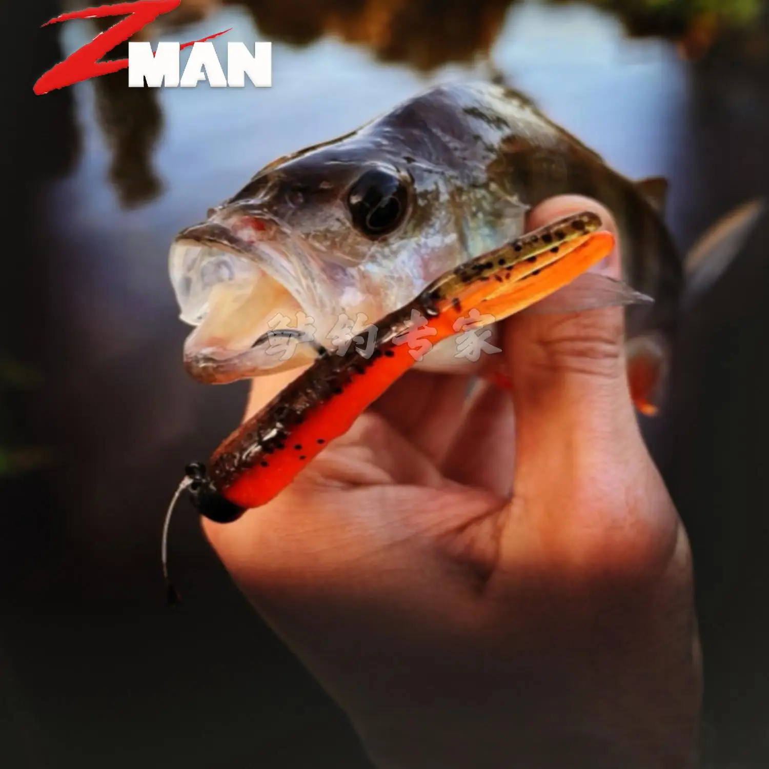 Zman US imported small polypod Tiny Ticklerz Ned floating water bite resistant Luya soft bait
Zman US imported small polypod Tiny Ticklerz Ned floating water bite resistant Luya soft bait