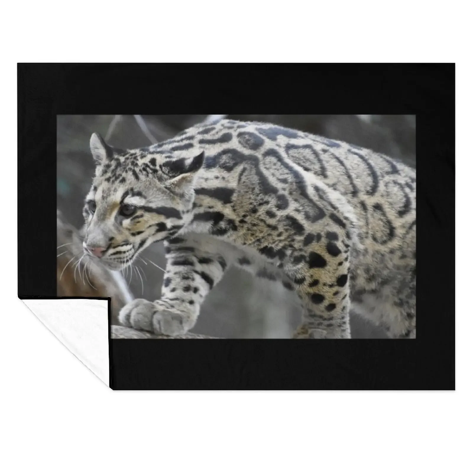 Clouded Leopard at the National Zoo Throw Blanket Winter beds Soft Big Kid'S Polar Blankets
Clouded Leopard at the National Zoo Throw Blanket Winter beds Soft Big Kid'S Polar Blankets