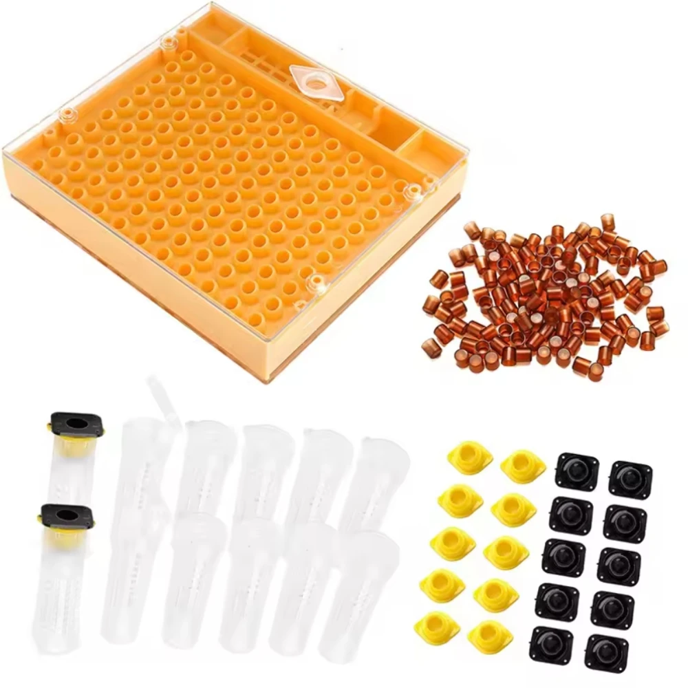 Beekeeping Bee Beekeeper Queen Rearing Kit with nicot Queen Rearing System Equipment Tools
Beekeeping Bee Beekeeper Queen Rearing Kit with nicot Queen Rearing System Equipment Tools