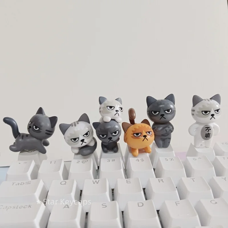 Diy Mechanical Keyboard Keycaps 3D Cartoon Cat Personalized Keycaps Handmade Key Caps for Cherry Profile 키보드 키캡
Diy Mechanical Keyboard Keycaps 3D Cartoon Cat Personalized Keycaps Handmade Key Caps for Cherry Profile 키보드 키캡