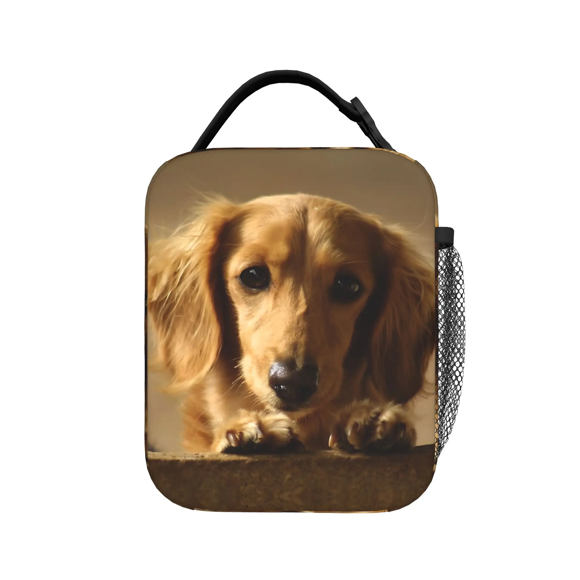 Cute Long Haired Dachshund Puppy Photo Print Lunch Bag For Girls Print Picnic Lunch Box Casual Portable Oxford Cooler Bag
Cute Long Haired Dachshund Puppy Photo Print Lunch Bag For Girls Print Picnic Lunch Box Casual Portable Oxford Cooler Bag