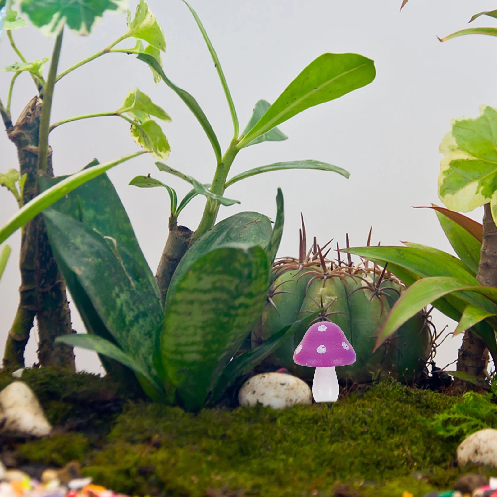 20Pcs Mushroom Decor Realistic Wood Figurines Miniature Small Mushrooms for Garden Micro Landscape Fairy Home Decoration
20Pcs Mushroom Decor Realistic Wood Figurines Miniature Small Mushrooms for Garden Micro Landscape Fairy Home Decoration