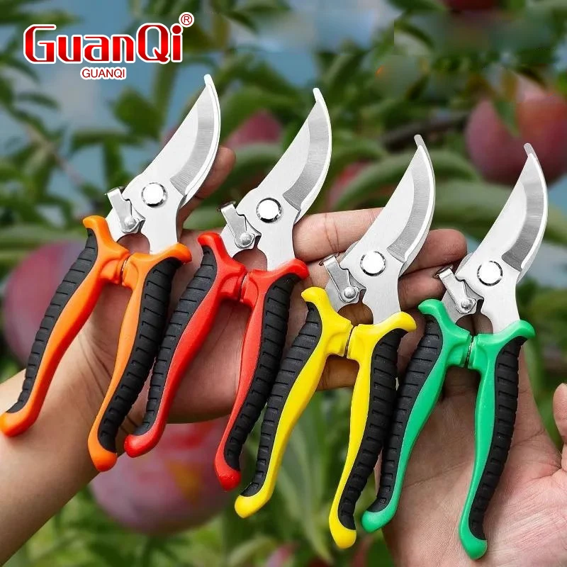 Stainless Steel Professional Gardening Shears Pruning branches Fruit trees Flowers Household Pruning Tools Shears
Stainless Steel Professional Gardening Shears Pruning branches Fruit trees Flowers Household Pruning Tools Shears