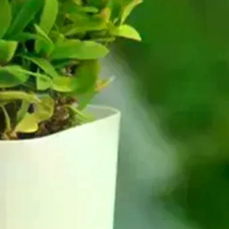 White Self Watering Plant Pot Square Double Layer Flowerpot For Home Indoor And Outdoor Balcony Garden Plants Decor Flowerpot
White Self Watering Plant Pot Square Double Layer Flowerpot For Home Indoor And Outdoor Balcony Garden Plants Decor Flowerpot