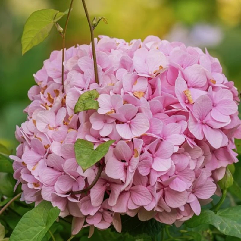 119 мм 1,9-дюймовые резиновые шины для колес, шины для восхождения для 1/10 RC гусеничного автомобиля, осевой SCX10 90046 TRX4 Redcat Gen8
119 мм 1,9-дюймовые резиновые шины для колес, шины для восхождения для 1/10 RC гусеничного автомобиля, осевой SCX10 90046 TRX4 Redcat Gen8