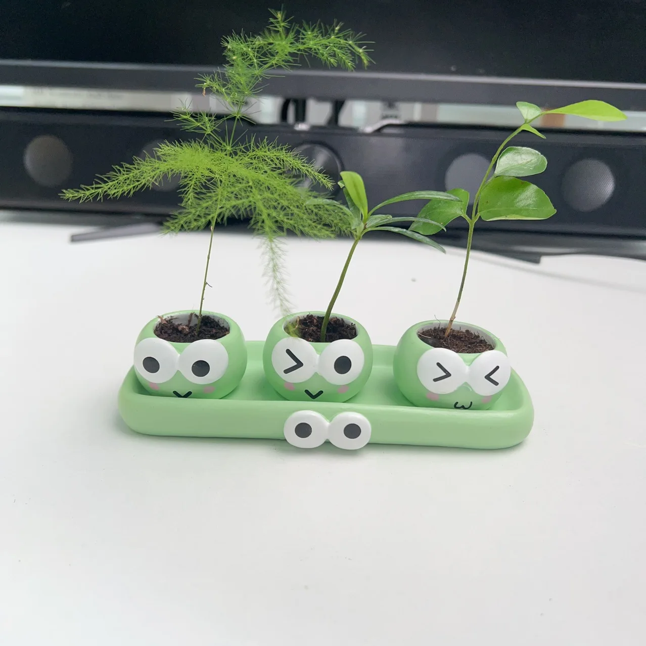 Cute Cartoon Thumb Pot Mini Succulent Planter Creative Desktop Decor
Cute Cartoon Thumb Pot Mini Succulent Planter Creative Desktop Decor