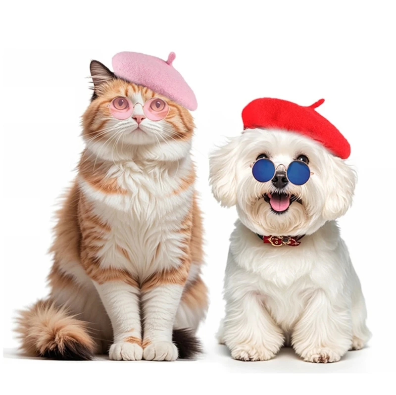 Pet Hat and Eyewears Set Halloween Party Outfit for Cats and Dogs Daily Wear and Social Event Pet Holiday Party Headwear
Pet Hat and Eyewears Set Halloween Party Outfit for Cats and Dogs Daily Wear and Social Event Pet Holiday Party Headwear