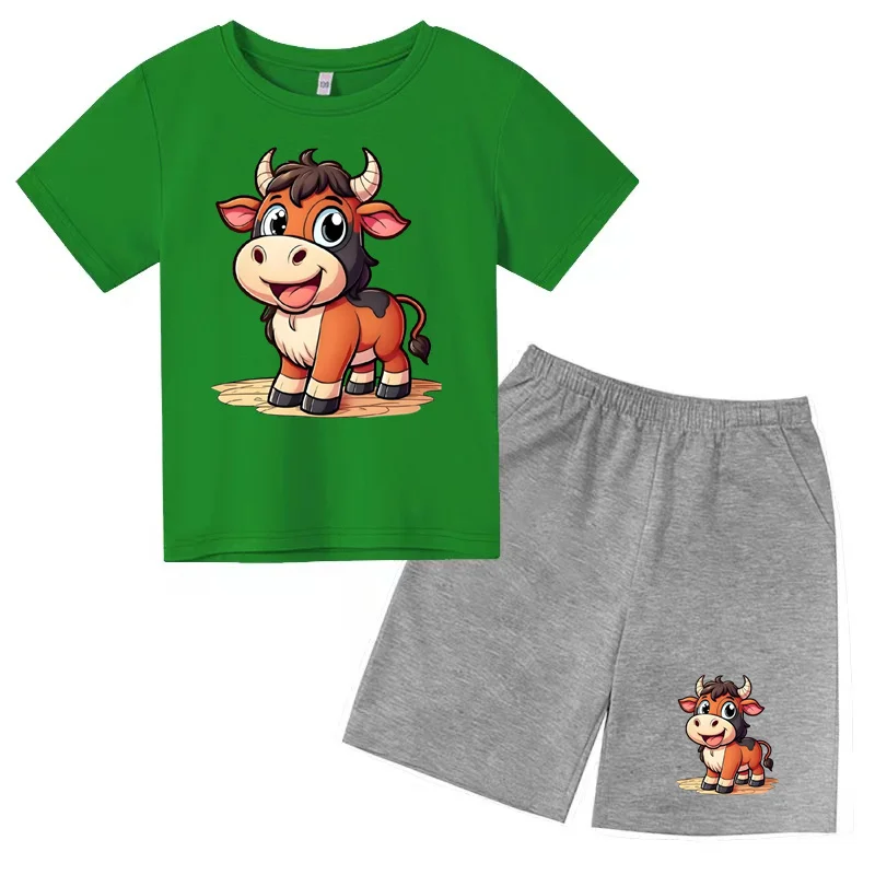 Summer round neck T-shirt set for boys and girls aged 2-12, Kids solid color T-shirt set, casual sports short sleeved top+shorts
Summer round neck T-shirt set for boys and girls aged 2-12, Kids solid color T-shirt set, casual sports short sleeved top+shorts