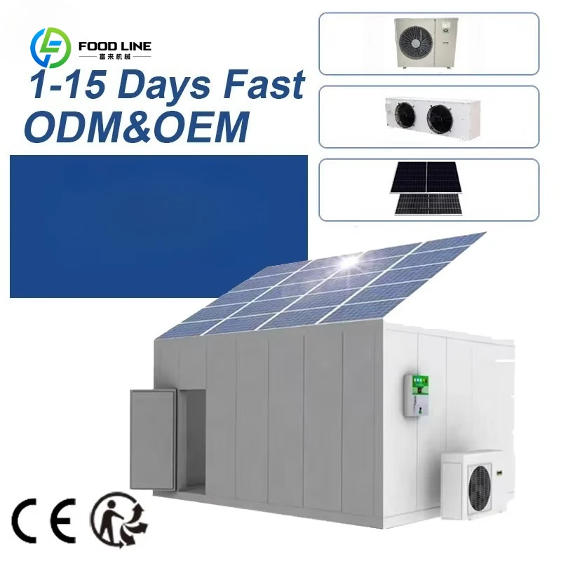Customized Customized Fruit And Vegetable Chiller Room Solar Power 20ft Container Freezer Cold Storage Room For Meat And Seafood
Customized Customized Fruit And Vegetable Chiller Room Solar Power 20ft Container Freezer Cold Storage Room For Meat And Seafood