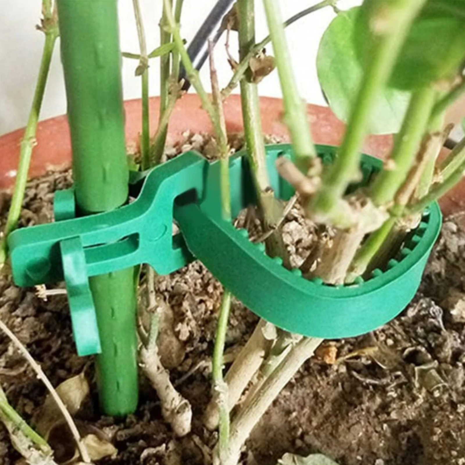 Garden Plant Support Strap Gentle on Plants Adjustable Plant Tie Tree Ties Weather Resistant Non-Slip Grip for Greenhouse
Garden Plant Support Strap Gentle on Plants Adjustable Plant Tie Tree Ties Weather Resistant Non-Slip Grip for Greenhouse