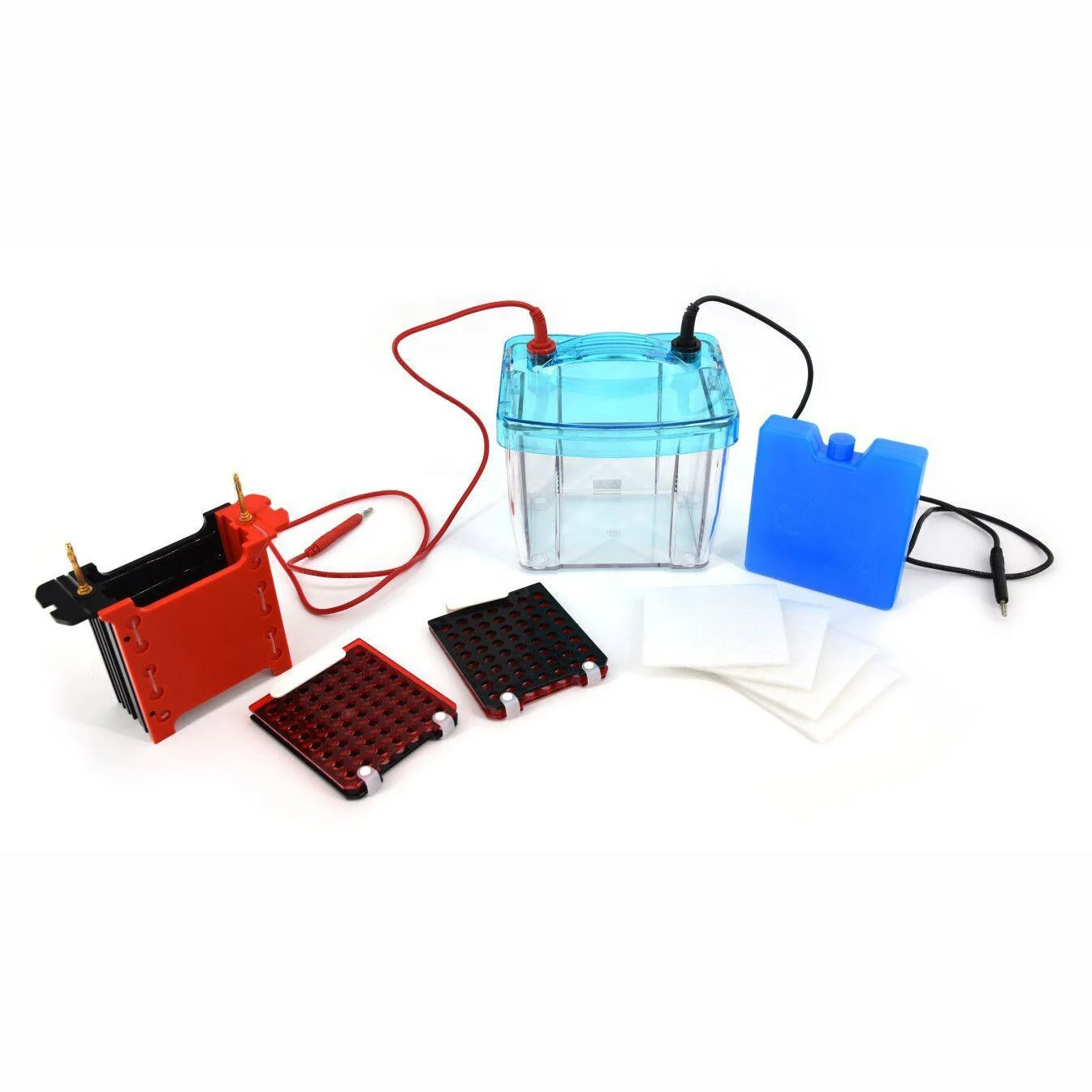 CHINCAN DYCZ-40G Trans-Blotting Electrophoresis Cell for Transfer the Protein Molecule From the Gel to Nitrocellulose Membrane
CHINCAN DYCZ-40G Trans-Blotting Electrophoresis Cell for Transfer the Protein Molecule From the Gel to Nitrocellulose Membrane