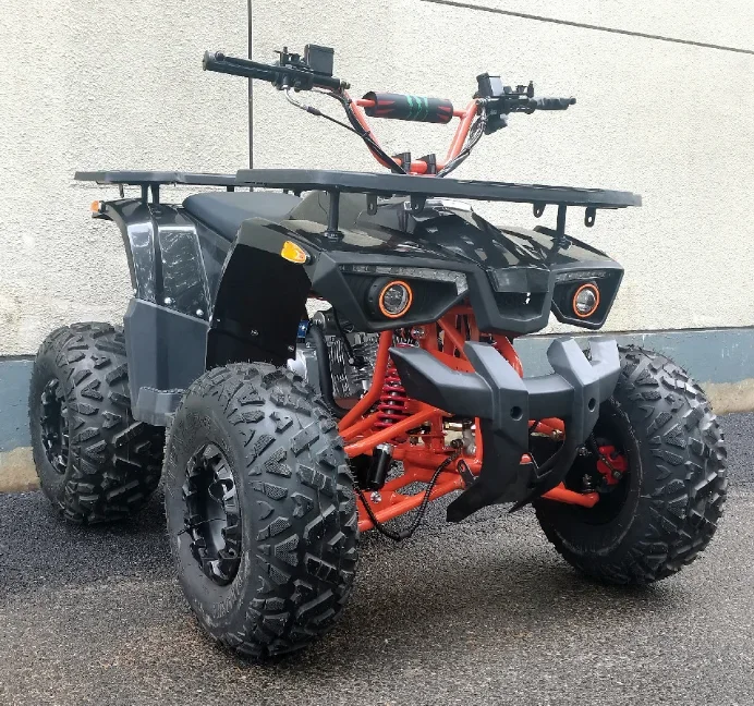2024 Adult Petrol All Terrain Vehicle 200CC Four-Wheeler Beach Buggy ATV,2 DW Automatic Chain Drive
2024 Adult Petrol All Terrain Vehicle 200CC Four-Wheeler Beach Buggy ATV,2 DW Automatic Chain Drive