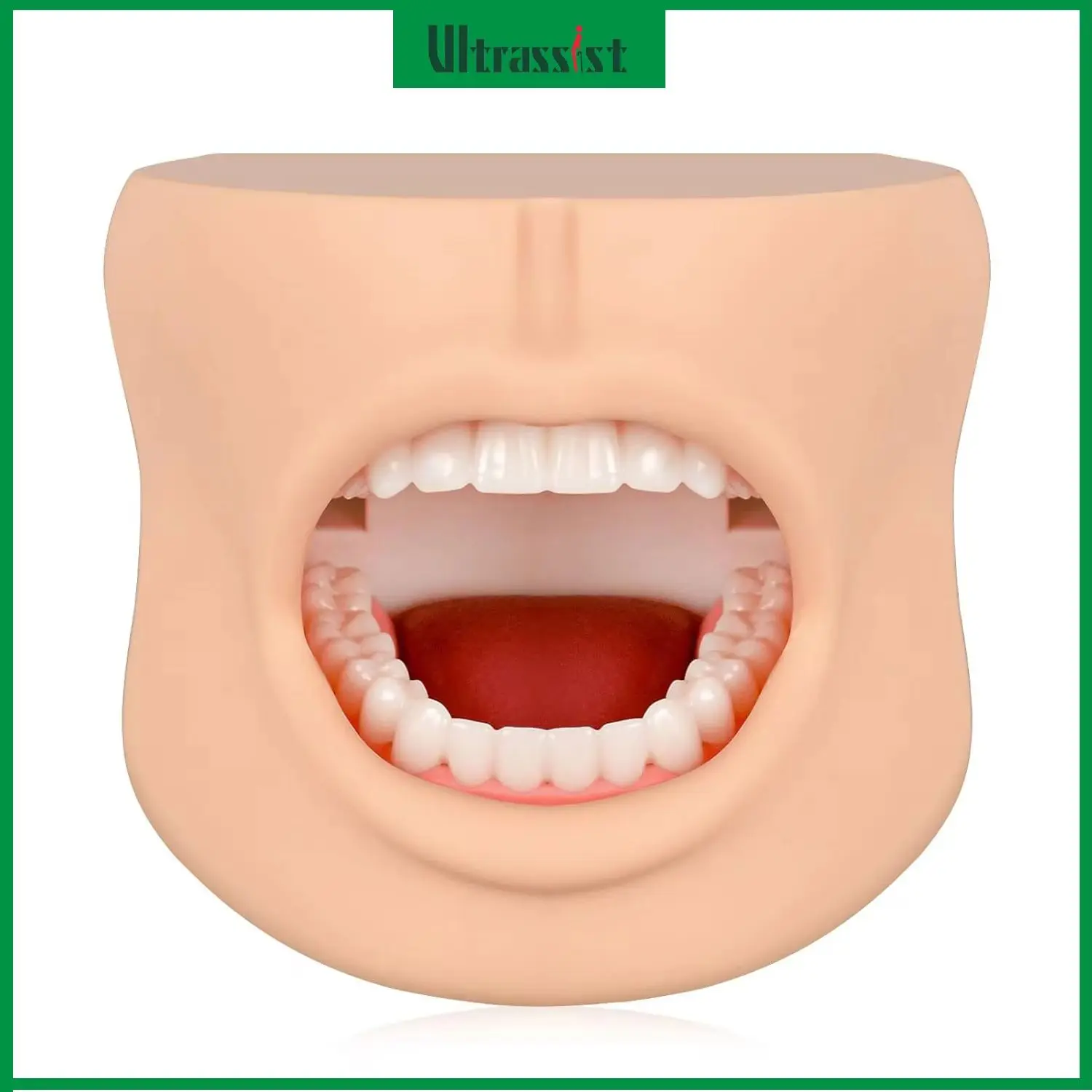 Ultrassist Teeth Care Model with Cheek Structure Dental Typodont Tooth Model for Demonstration Medical Education Teaching
Ultrassist Teeth Care Model with Cheek Structure Dental Typodont Tooth Model for Demonstration Medical Education Teaching